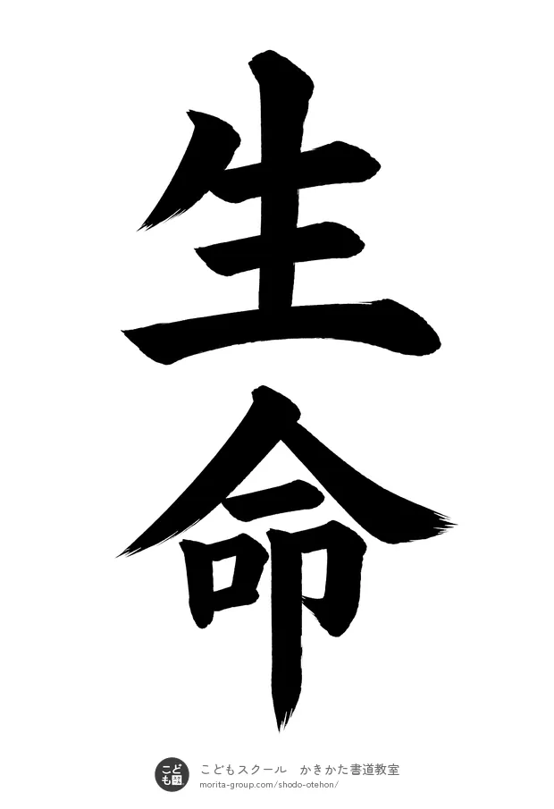 「生命」の書道お手本（半紙に2文字・楷書）