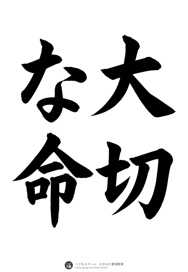 「大切な命」の書道お手本（半紙に4文字（2行）・楷書）