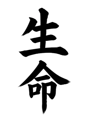「生命」書道お手本