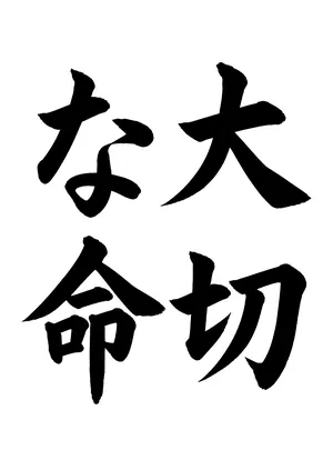 「大切な命」書道お手本